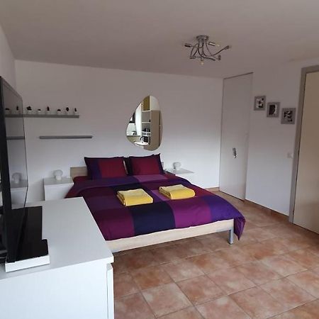 Casa 21 Daire Sonogno Dış mekan fotoğraf