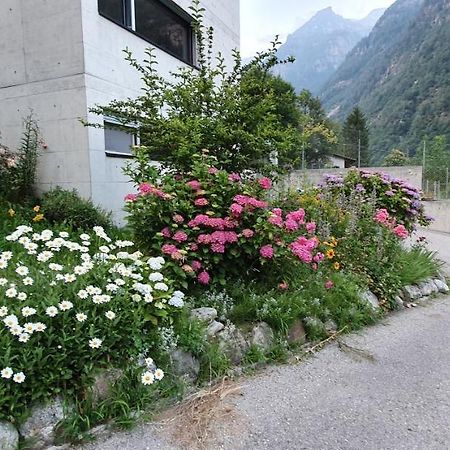 Casa 21 Daire Sonogno Dış mekan fotoğraf