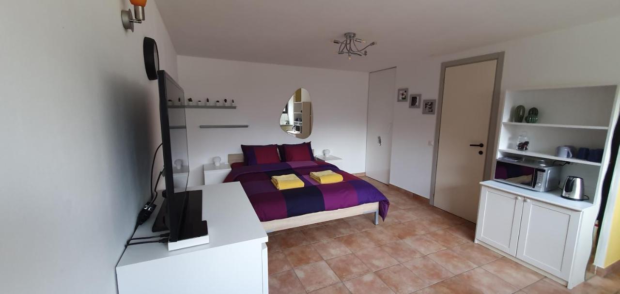 Casa 21 Daire Sonogno Dış mekan fotoğraf