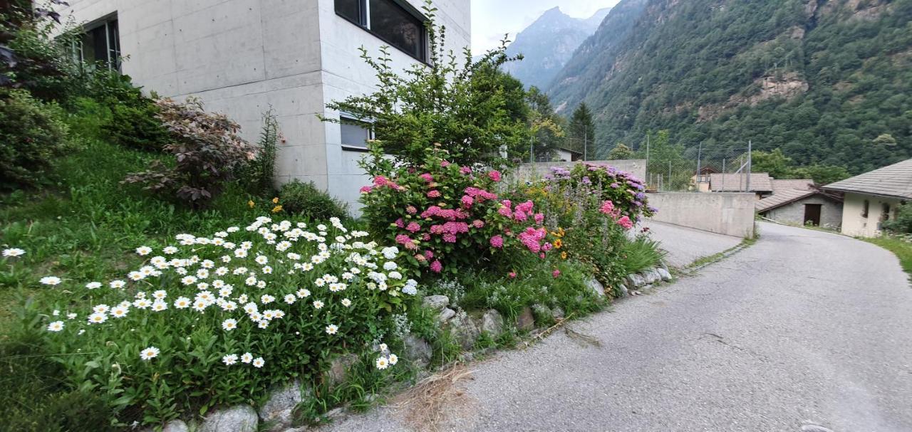 Casa 21 Daire Sonogno Dış mekan fotoğraf